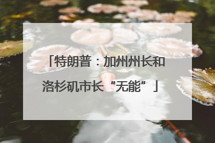 特朗普：加州州长和洛杉矶市长“无能”